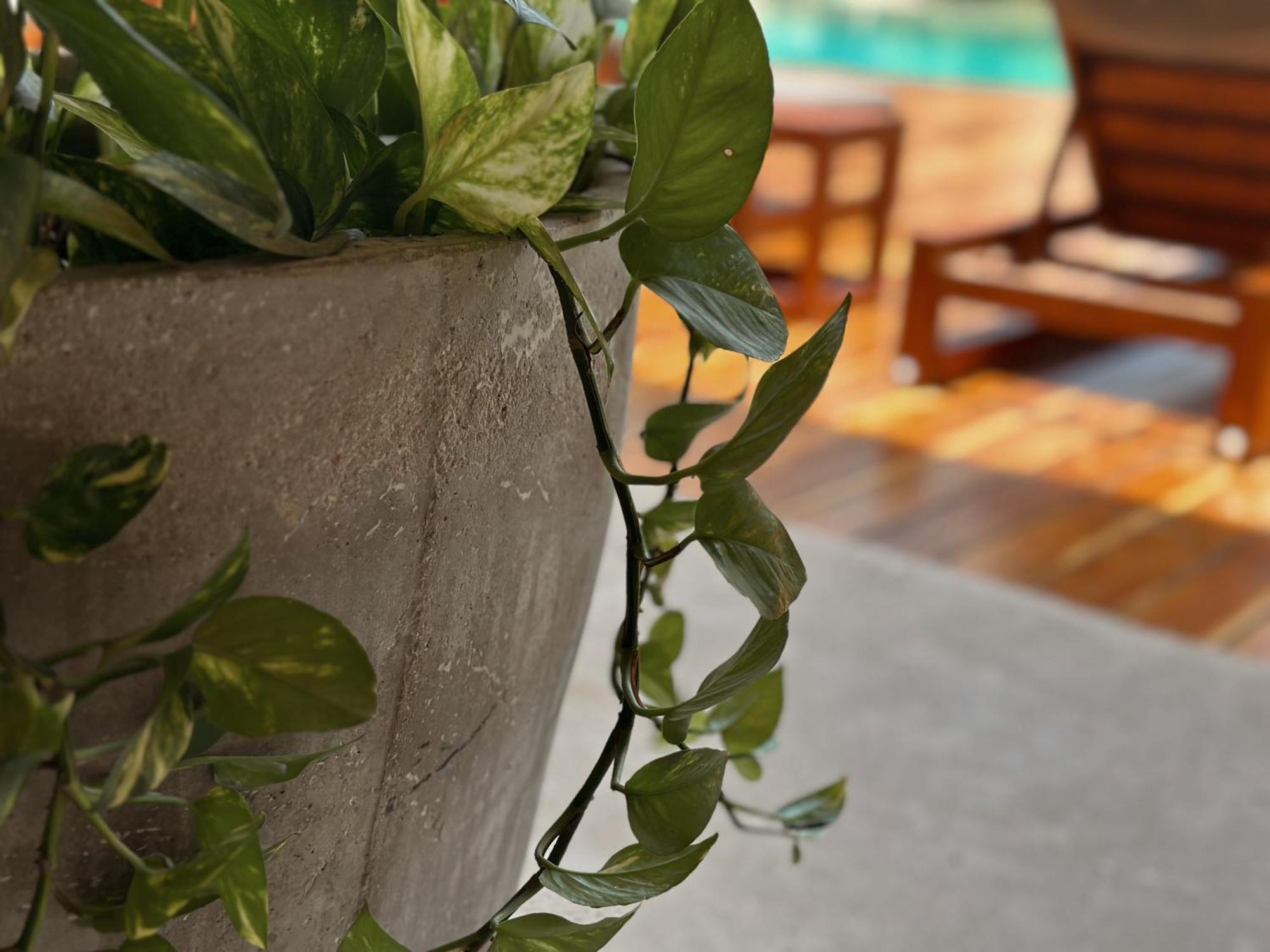 Ophelia Tulum Condo In Aldea Zama Buitenkant foto