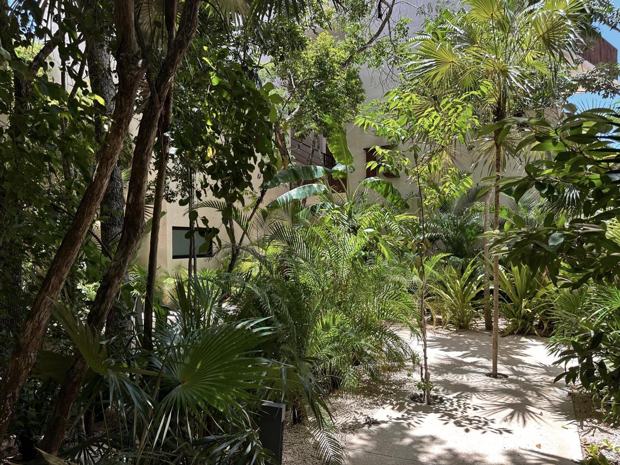 Ophelia Tulum Condo In Aldea Zama Buitenkant foto