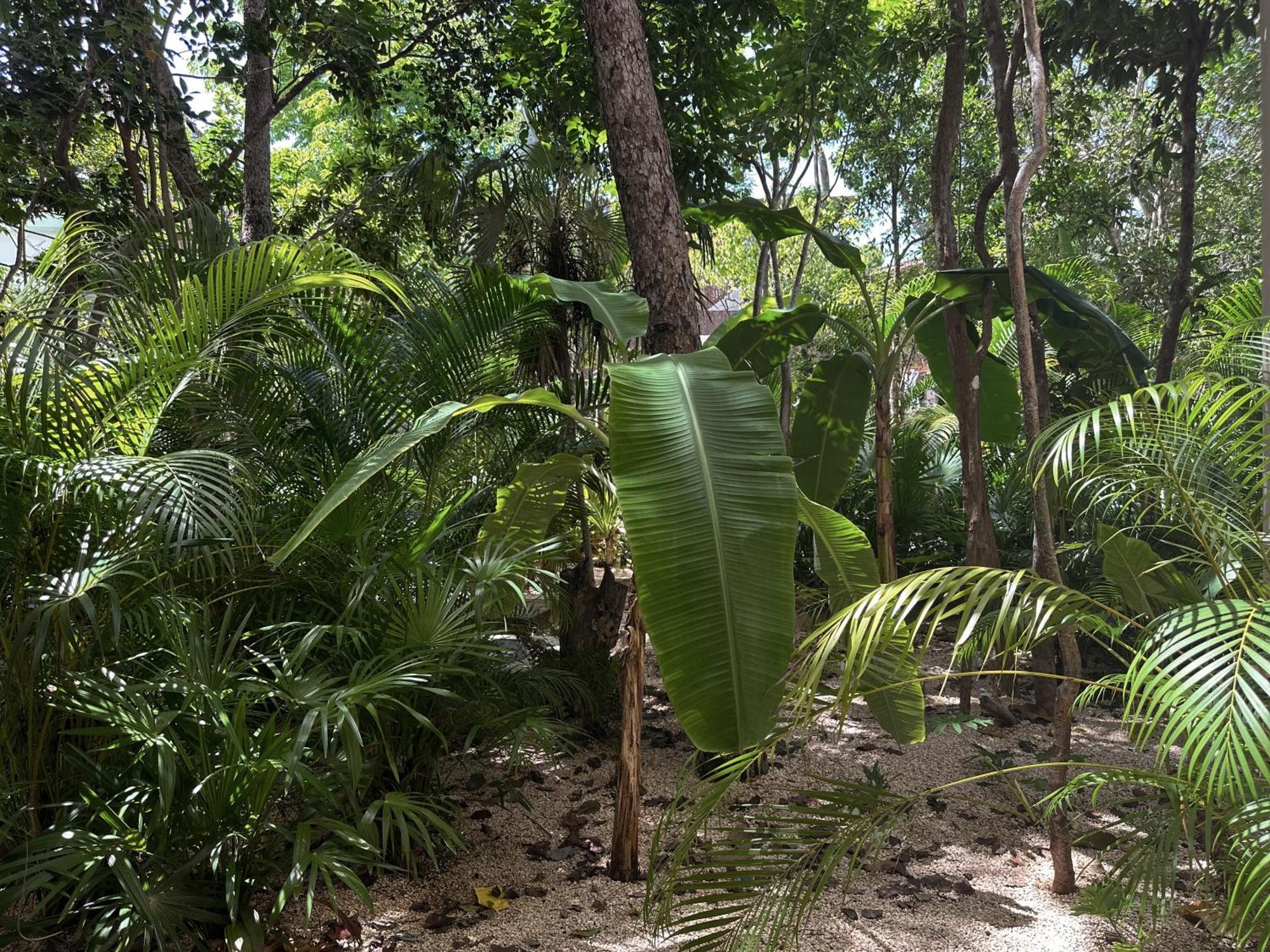 Ophelia Tulum Condo In Aldea Zama Buitenkant foto